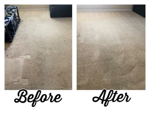 Before/After ProGrade Carpet Cleaning in Office